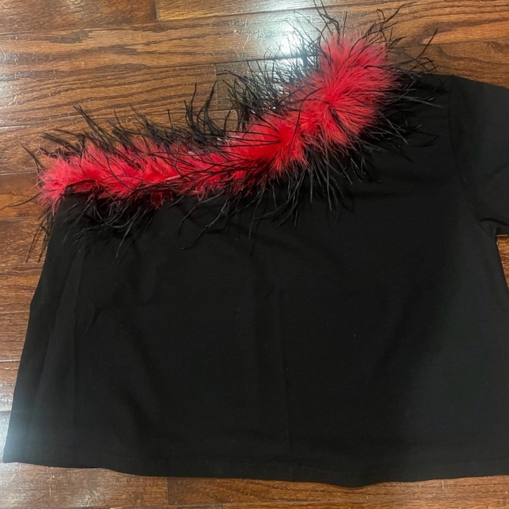 QUEEN OF SPARKLES
QUEEN OF SPARKLES Black Top with Red Feather Trim